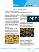 Feeding Sugar To Honey Bees