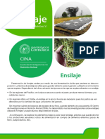 Guia Ensilaje.pdf