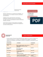 Convocatorias de creación PEB (1).pdf