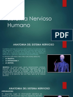 Sistema Nervioso Humano_I_2020 (2).pdf
