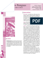 Guia Actividades Lisa Paraguas PDF