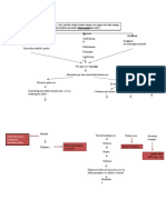 Woc Ileus Paralitik PDF