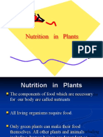 Nutrients in Plants - 4
