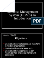 Database Management System (DBMS) An