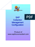 SAP DISPUTE ManagementConfig DOC.pdf