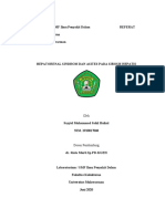 Referat Sindroma Hepatorenal - Sayyid Muhammad Sahil Haikal