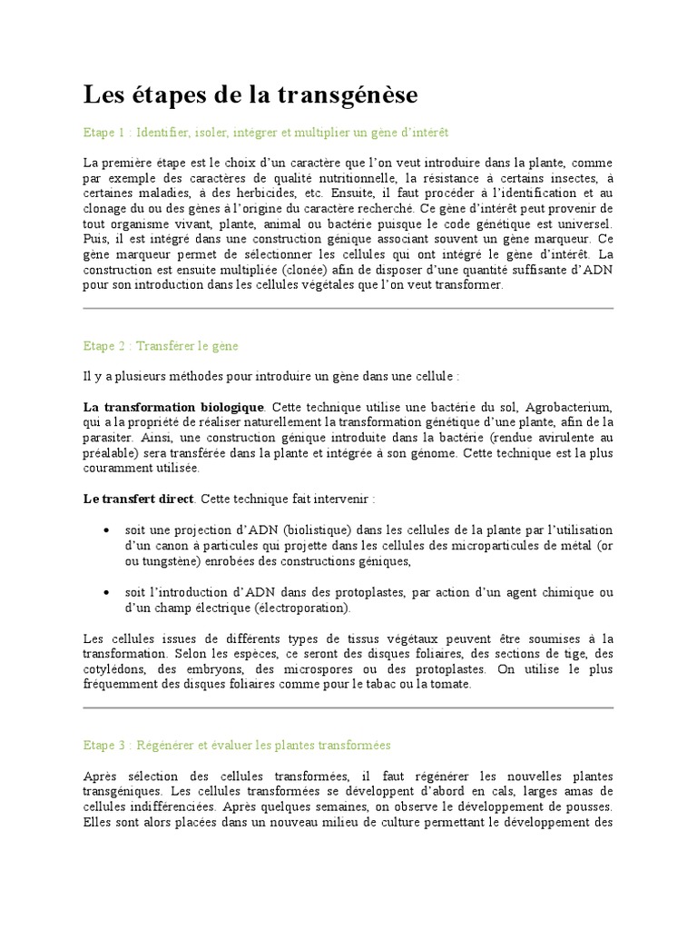 Étapes de la transgénèse végétale | PDF | Organisme génétiquement ...