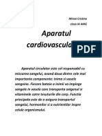 anatomie-1.rtf.pdf