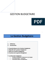 359051094-Gestion-budgetaire
