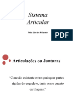 Sistema Articular
