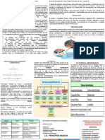 Gestión Pública-Principios y Contabilidad Gubernamental