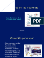 Transmisión del impulso nervioso_compartir.pdf