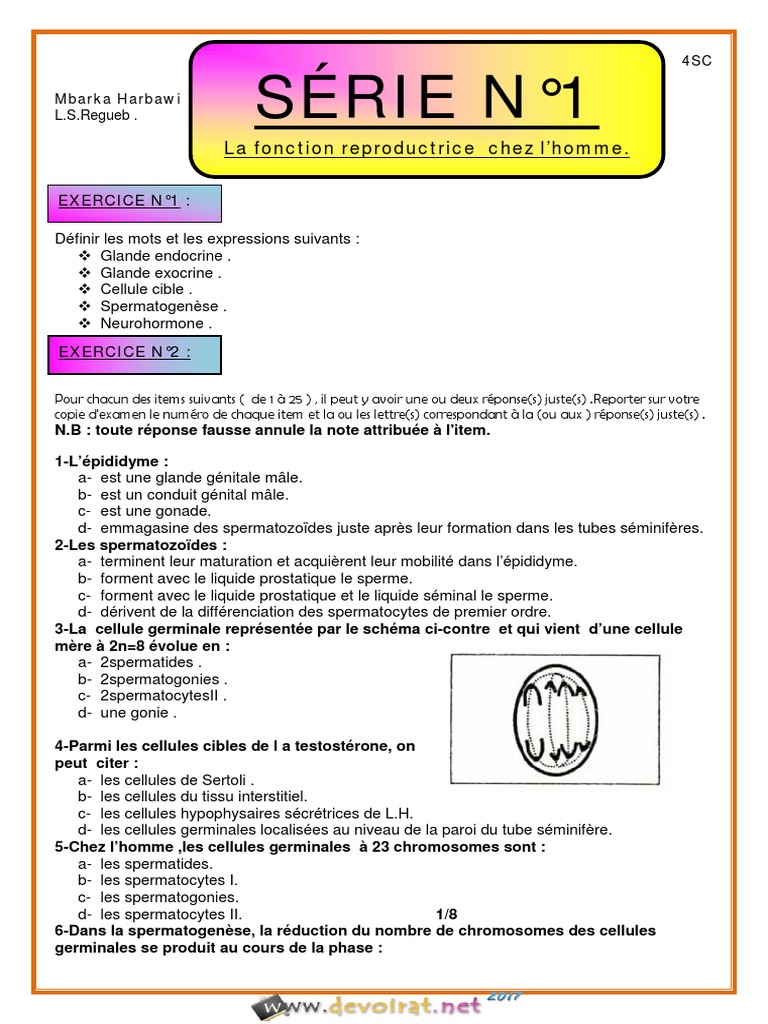 Exercices Corrigés Controle Svt 6ème Cellule Pdf Série Dexercices N°1 SVT Reproduction Chez L'homme Bac Sciences Exp 2016  2017 | PDF | Système endocrinien | Système reproducteur