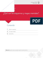 Que Son Los Esquemas Mentales PDF