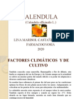 Calendula Presentacion 1