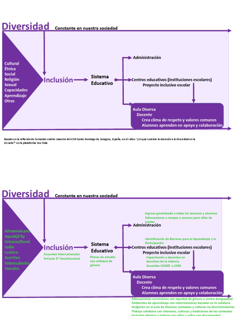 Diversidad e Inclusión Esquema y Ejemplos2 | PDF | Inclusión (Educación ...