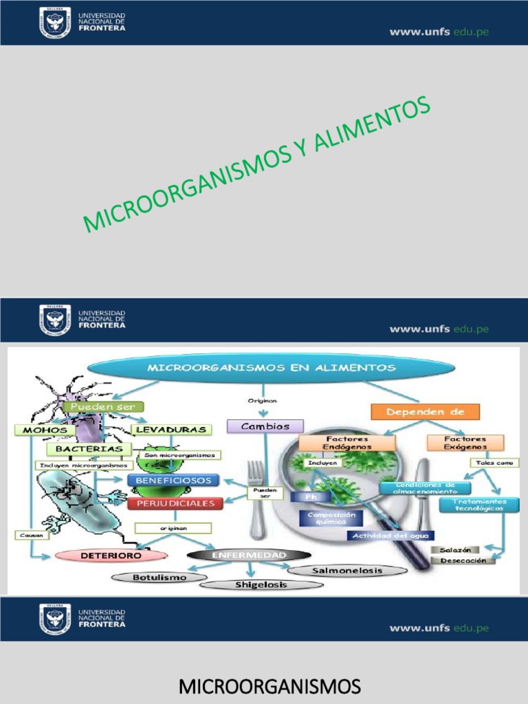 Teoria 03 - Microorganismos de Los Alimentos | PDF | Microorganismo ...