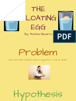 The Floating Egg