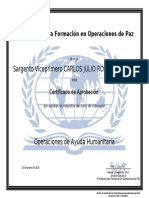 1 Diploma - Operaciones de Ayuda Humanitaria