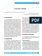 colon  iritable.pdf