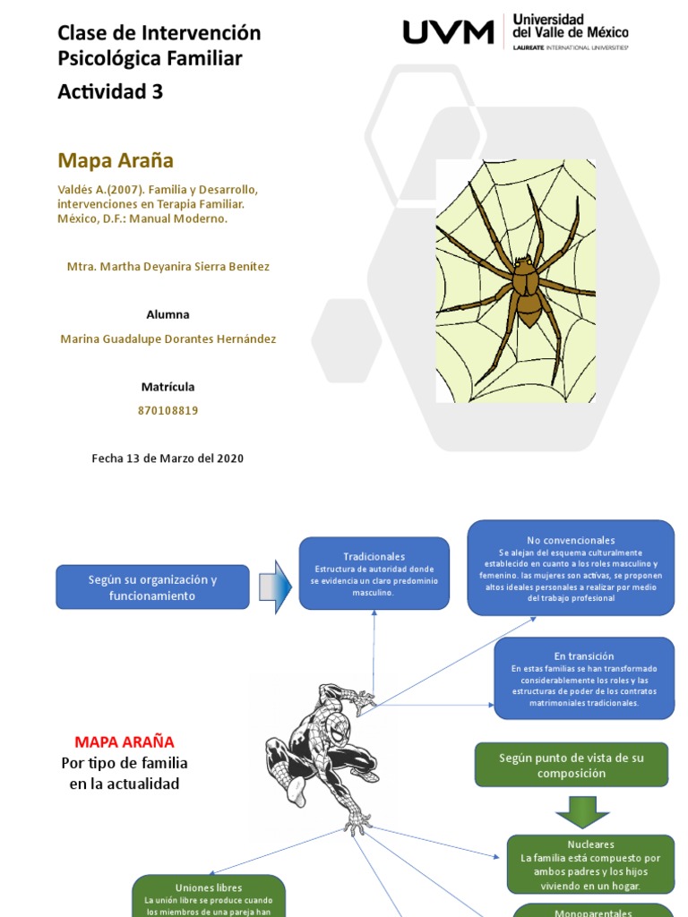 Mapa Araña | PDF | Familia | Ciencias del comportamiento