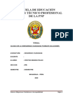 Causas de La Inseguridad Ciudadana