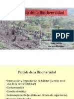 Perdida de la Biodiversidad (1).pdf