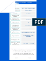 VisaNet PDF