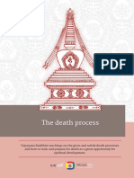DP-DeathProcess-ENG