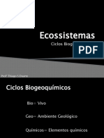 6-Ecossistemas.ciclos biogeoquimicos pptx