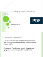 AULA 004. Fito e Qualidade Água - TURMA PDF