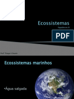 10-Ecossistemas aquatico II .pptx