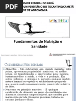 AULA 04. NUTRIÇÃO e SANIDADE PDF