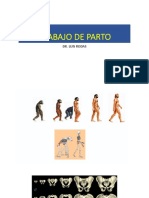 Pelvis y Parto PDF