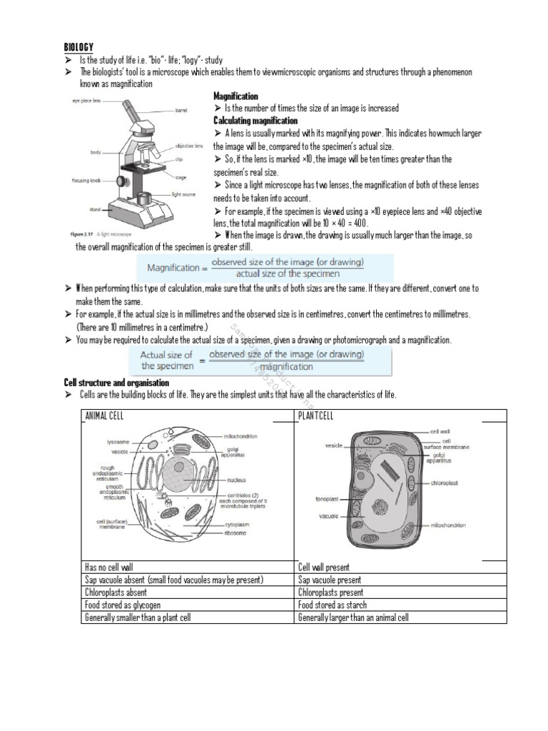 Understanding Cell Biology and Magnification | PDF | Endoplasmic ...