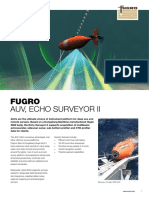 Echo Surveyor II Flyer PDF