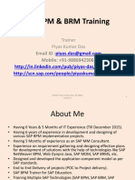 SAP BPM & BRM Training Presentation