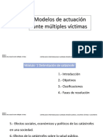 Delimitacion de Catástrofe PDF