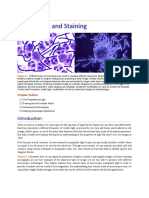 1-Microscopy and Staining PDF