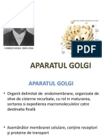 Curs - Aparat golgi.pptx