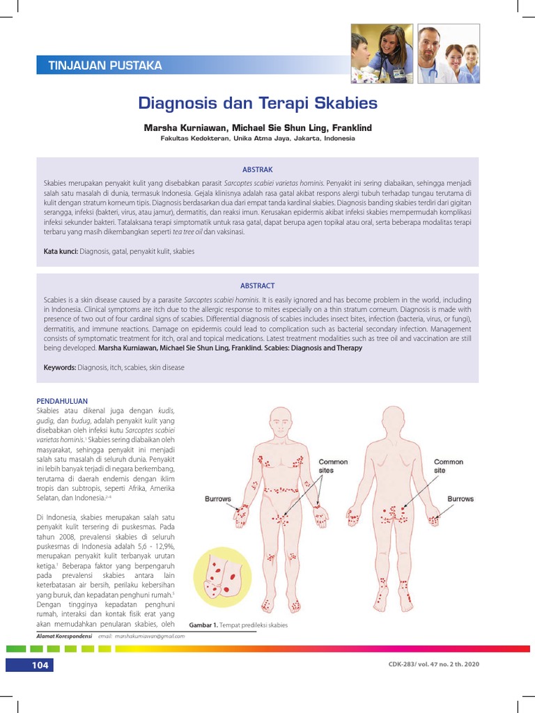 Diagnosis dan Terapi Skabies | PDF