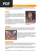 Download Bengal Tiger by Vernon Camilo SN46734905 doc pdf