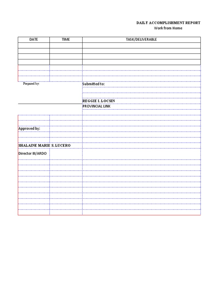 Daily Work from Home Report | PDF