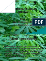 Budidaya Tanaman Ubi Kayu