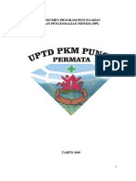 Contoh - Dokumen Program PPI pkm puncu.doc