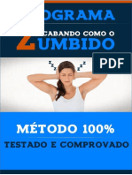 Pocket Zumbido PDF