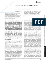 An Overview of Mammalian Mitochondrial DNA Replication Mechanisms 2018