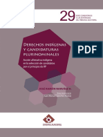 Derechos indígenas y candidaturas plurinominales.pdf