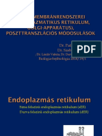 7 ER, Golgi PDF