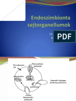 8 Endoszimbionta sejtorganellumok.pdf